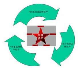 品牌戰(zhàn)略的本質(zhì) 價值管理的核心洞察